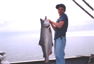 king salmon