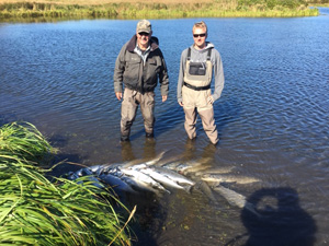 A good day's fishing for silver salmon